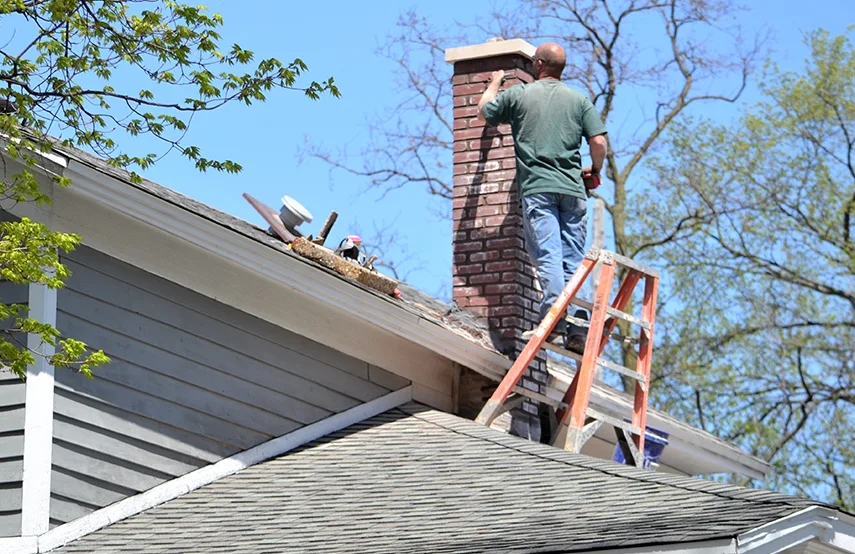 Chimney & Fireplace Inspections Services in Springfield, VA